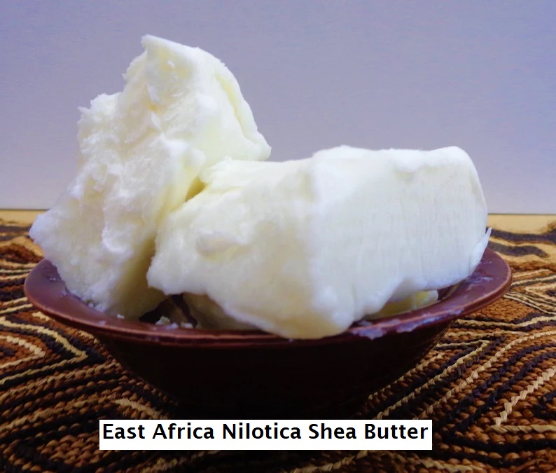 East Africa Nilotica Ivory Shea Butter